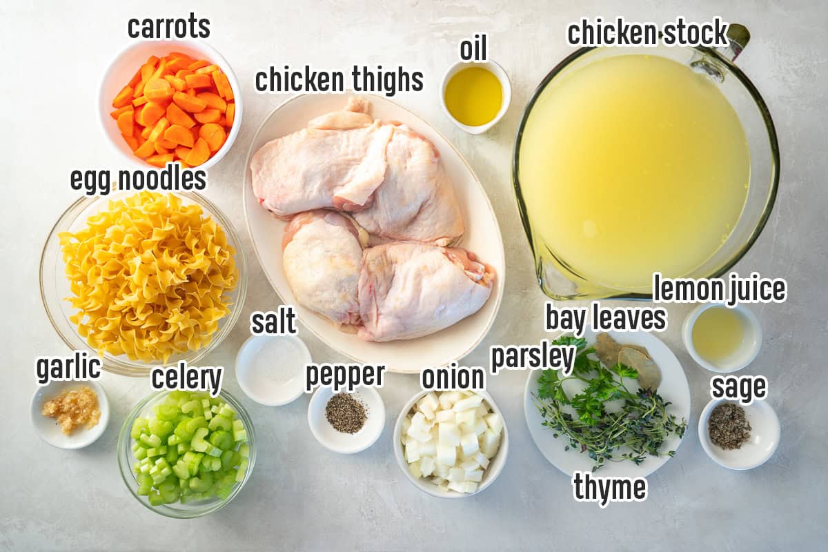 Ingredients for homemade chicken noodle soup including chicken thighs, egg noodles, carrots, celery, onion, garlic, chicken stock, herbs, lemon juice, oil, salt, and pepper.