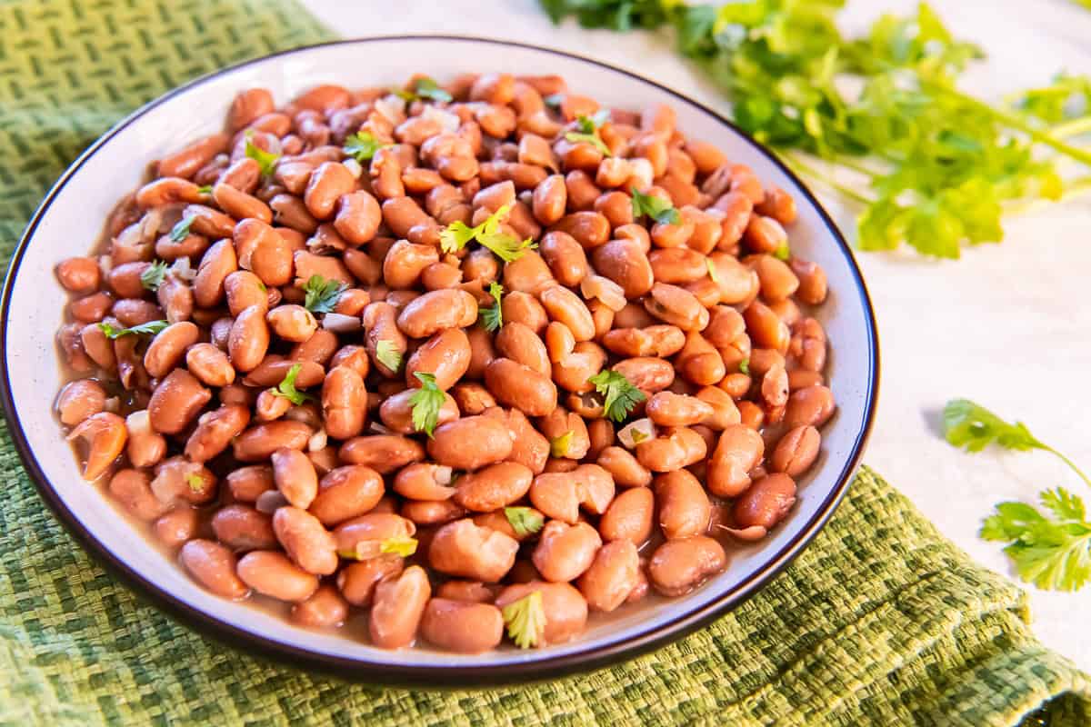 seasoned pinto beans garnished with fresh cilantro in a shallow bowl