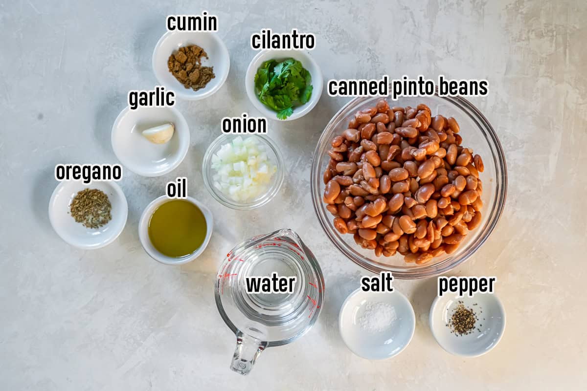 Ingredients for easy seasoned pinto beans including canned pinto beans, onion, garlic, cumin, oregano, olive oil, water, salt, pepper, and fresh cilantro.