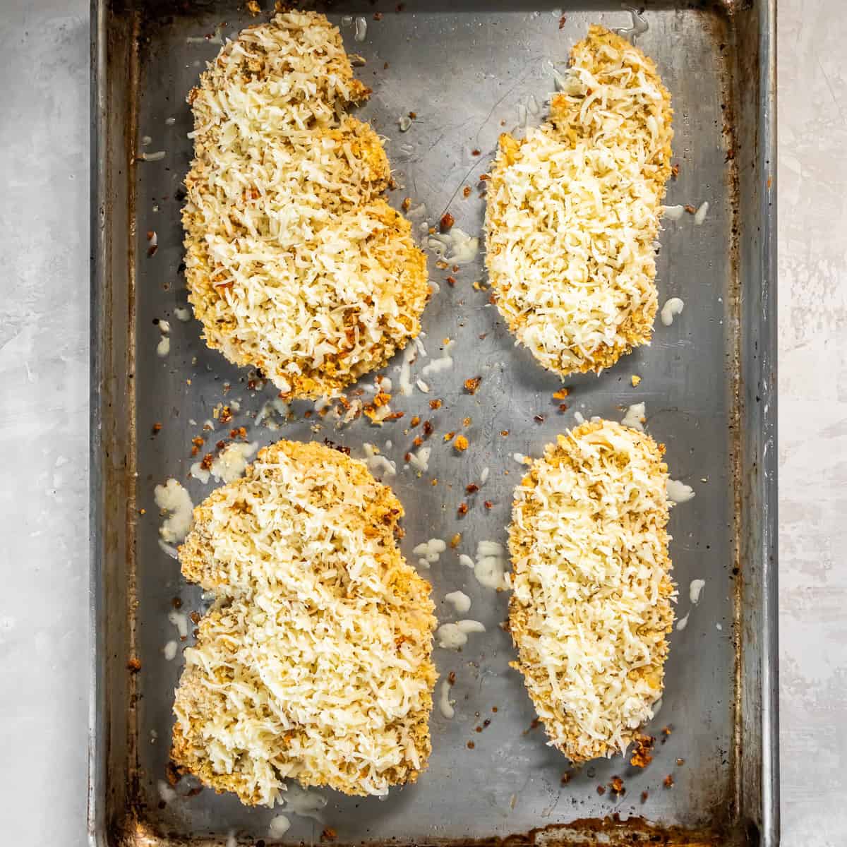 Baked breaded chicken cutlets topped with shredded cheese on a baking sheet before broiling.