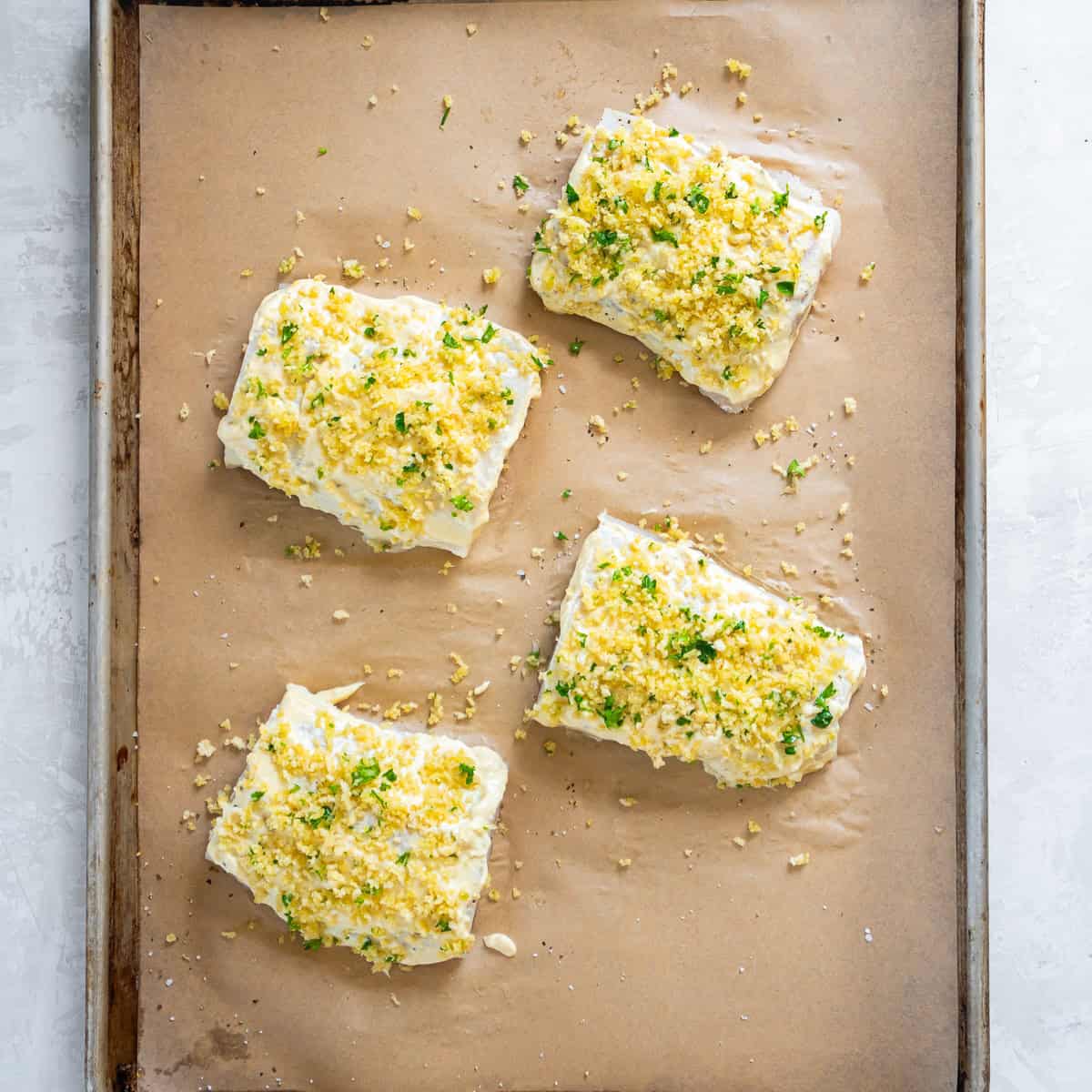 Fish fillets topped with a panko and Parmesan mixture before baking.