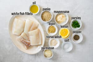 Simple Fish Ingredients Parmesan Crusted Fish (Crispy, Easy Oven-Baked Recipe)