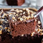 A slice of Chocolate Peanut Butter Cake with fudgy chocolate icing and chopped peanuts lifted from a 13- x 9-inch sheet cake.