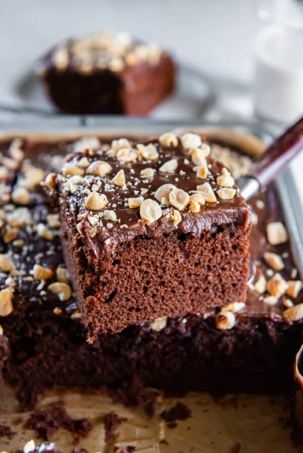 A slice of Chocolate Peanut Butter Cake with fudgy chocolate icing and chopped peanuts lifted from a 13- x 9-inch sheet cake.
