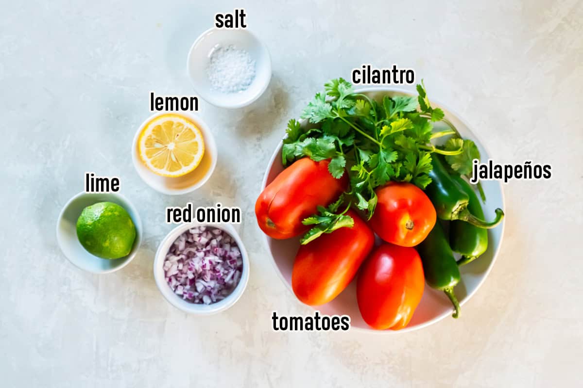 Ingredients for Fresh Tomato Salsa arranged on a countertop, including Roma tomatoes, jalapeños, cilantro, red onion, lime, lemon, and salt with text labels identifying each ingredient.