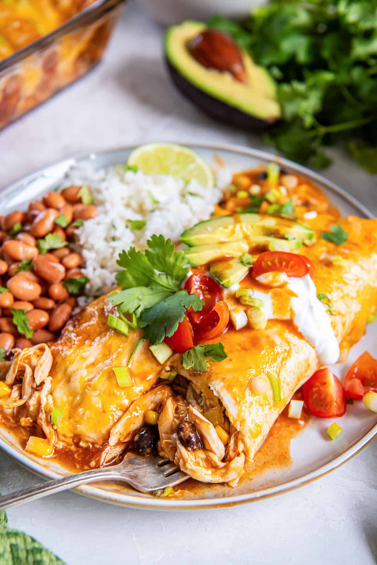 Easy Southwest Chicken Enchiladas filled with shredded chicken, black beans, and corn and topped with avocado, sour cream, tomatoes, green onions, and cilantro on a white plate with a fork.