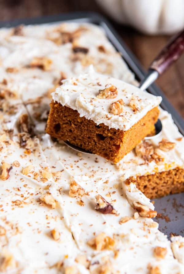 A pumpkin bar topped with cream cheese frosting and chopped walnuts is lifted from a pan of frosted pumpkin bars.